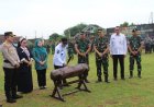 Wali Kota Magelang Buka TMMD Sengkuyung Tahap II 2026 dan Canangkan Bulan Bhakti Gotong Royong Masyarakat